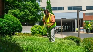 Commercial Outdoor Maintenance for Healthcare Facilities